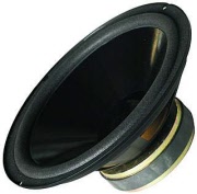 McVoice GT-25/40